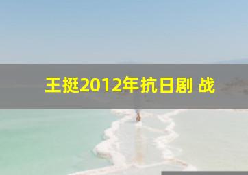 王挺2012年抗日剧 战